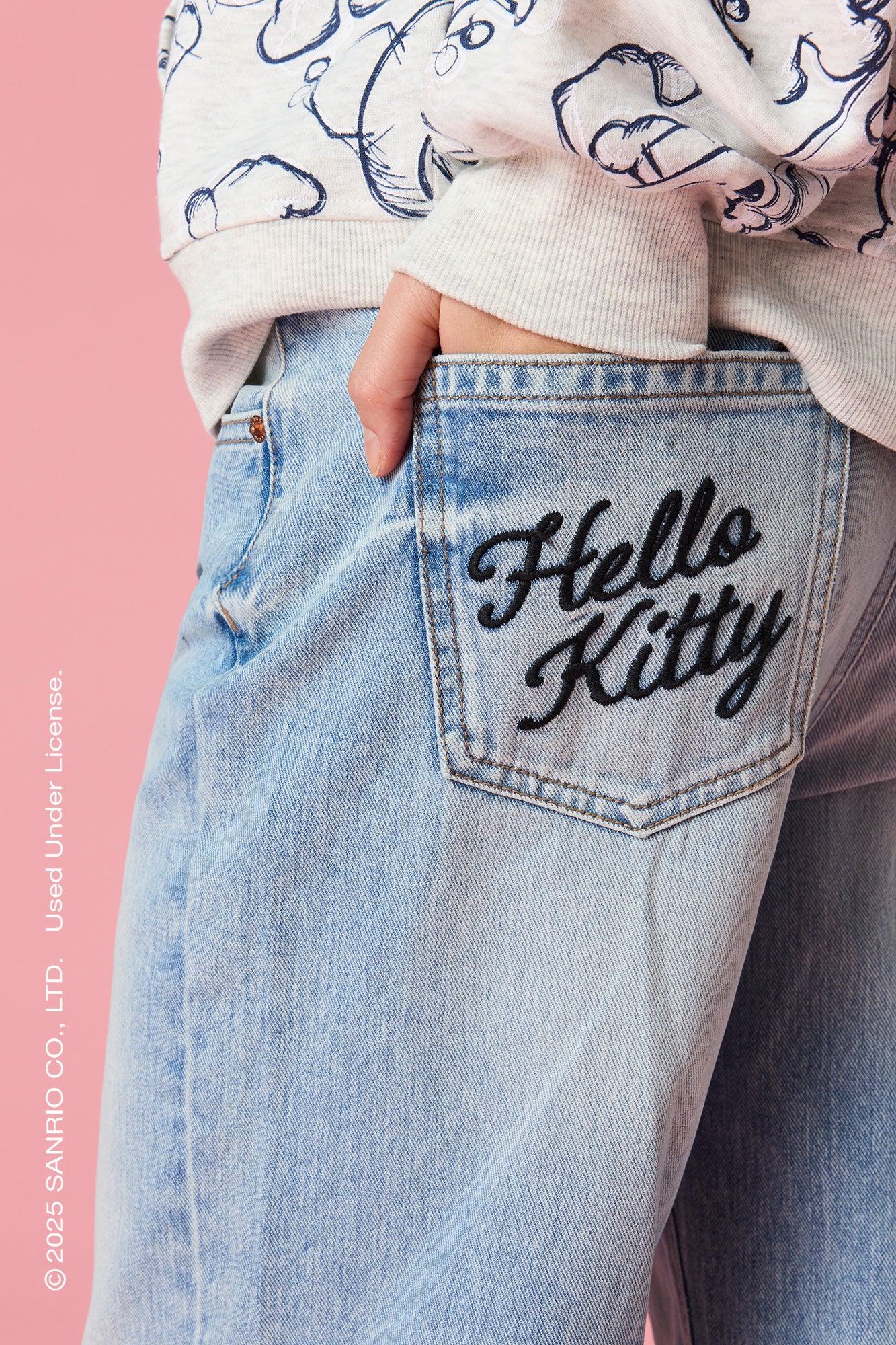 Hello Kitty® Embroidered Low Rise Baggy Jean - Image 5